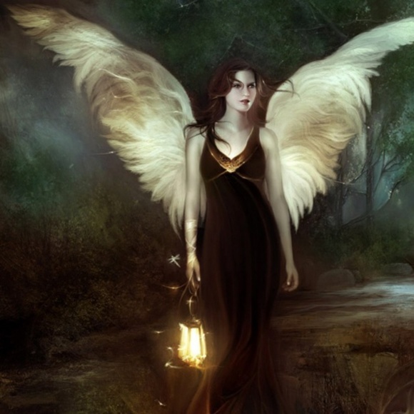 Meet your Posher, Ellen - Picture 1 of 1